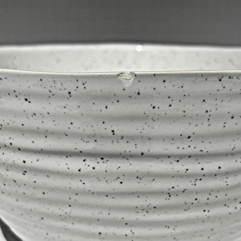 Serving Bowl Speckled Stoneware Ramen Pasta Ribbed Ceramic‎ Modern Kitchen Dish